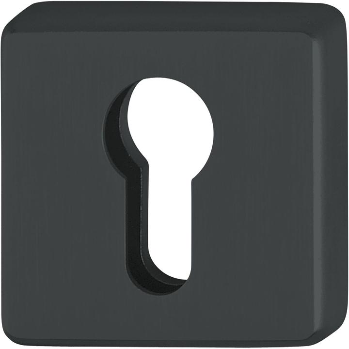 Actual product image Hoppe Cylinder escutcheon inside square PZ, black matt stainless steel (Door set)