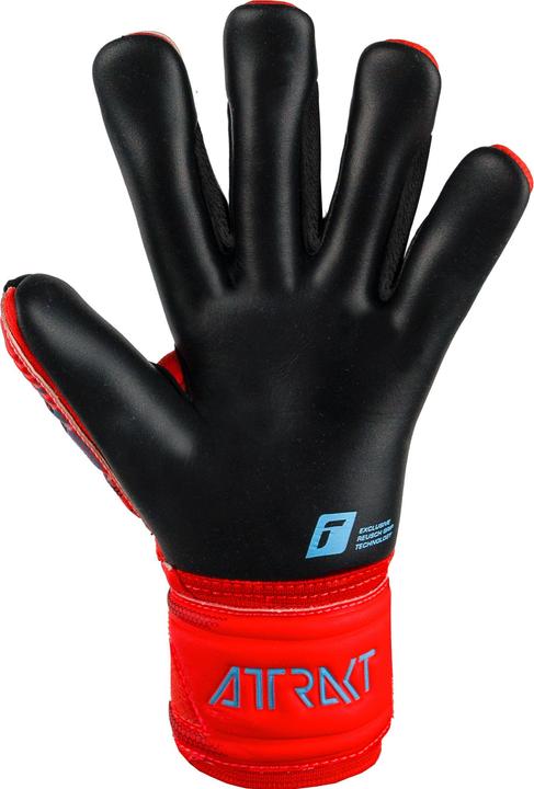 Immagine prodotto Reusch Attrakt Duo (9.5)