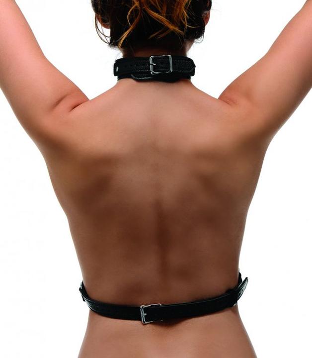 Produktbild XR Brands Chest Harness