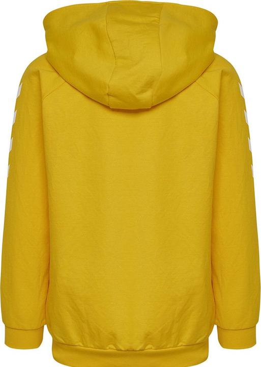 Image du produit hummel Go Kids Cotton Zip Hoodie (164)