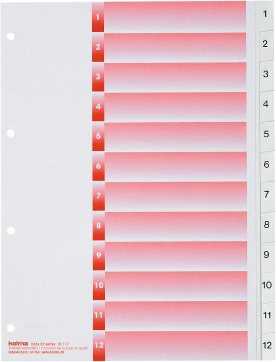 Actual product image Kolma Index A4 strong 1-12 12-piece white