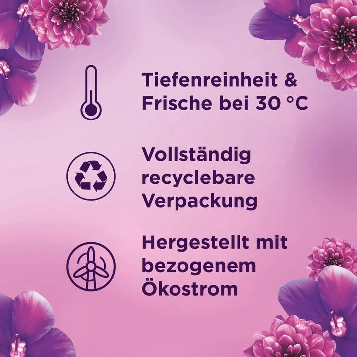 Actual product image Lenor Amethyst Flower Dream (100 Washing cycles, Liquid)