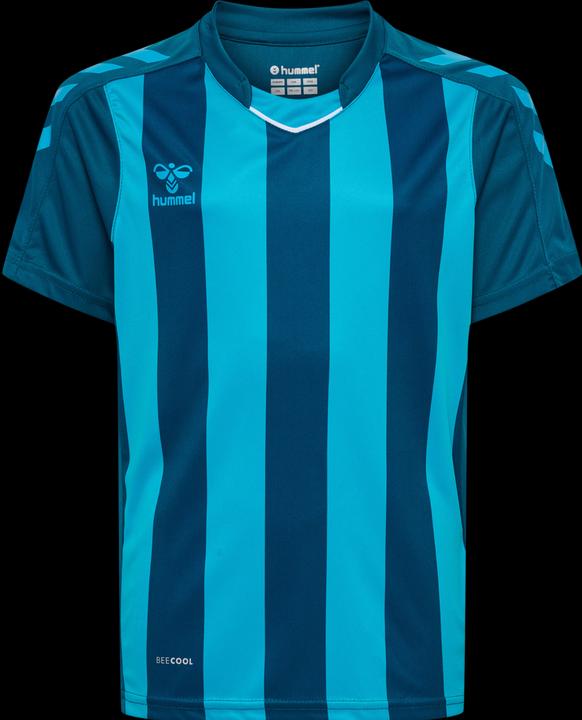 Actual product image hummel Core Xk Striped Jersey Kids S/S (116)