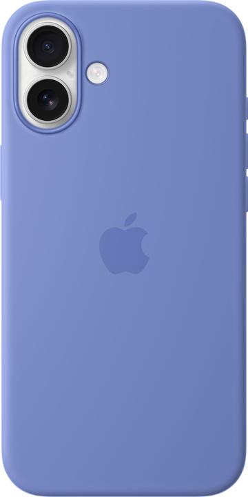 Periwinkle