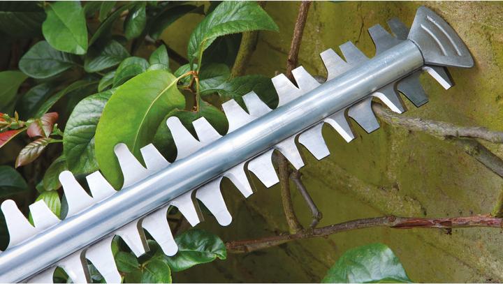 Image du produit Bosch Home & Garden EasyHedgeCut 18-45 Set (Taille-haies sans fil)