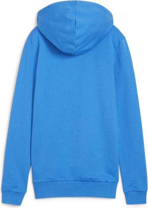Immagine prodotto Puma Felpa con cappuccio teamGOAL Casuals Wmn (L)