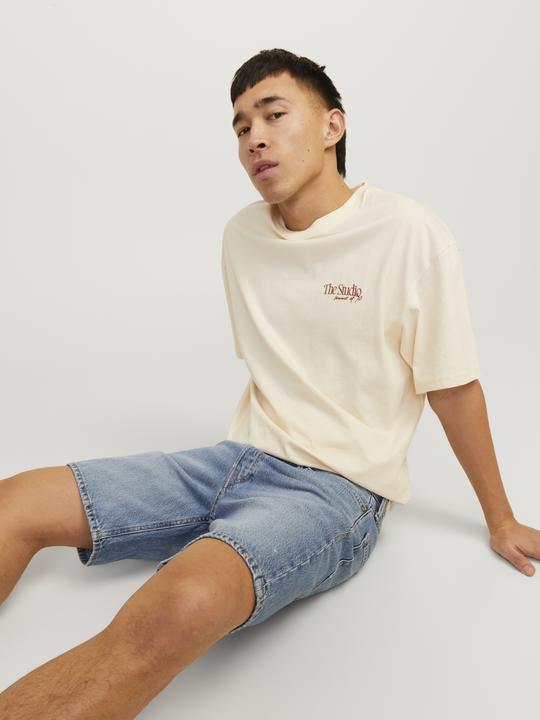 Produktbild Jack & Jones Jjichris Jjcooper Shorts Sbd 920 Sn (S)