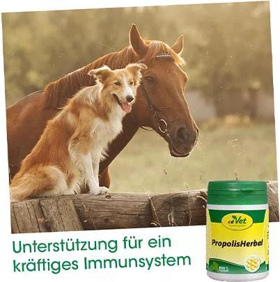 Image du produit cdVet PropolisHerbal (Adulte, 1 pcs, 45 g)