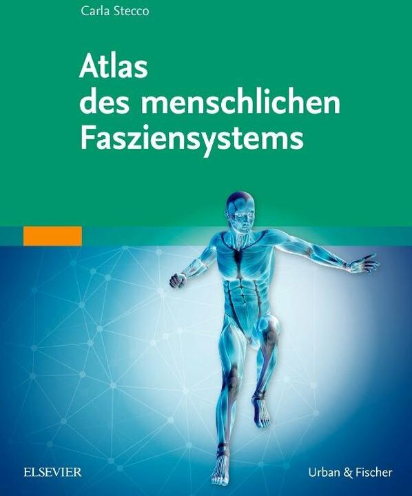 Atlas des menschlichen Fasziensystems (Deutsch, Carla Stecco, 2016)
