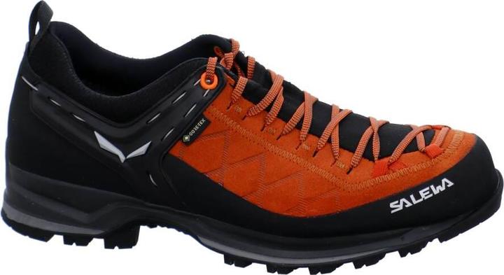 Image du produit Salewa Mountain Trainer 2 GORE-TEX® chaussures (46.5)
