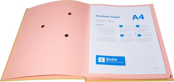 Actual product image Exacompta Signature folders (A4, 1 x)