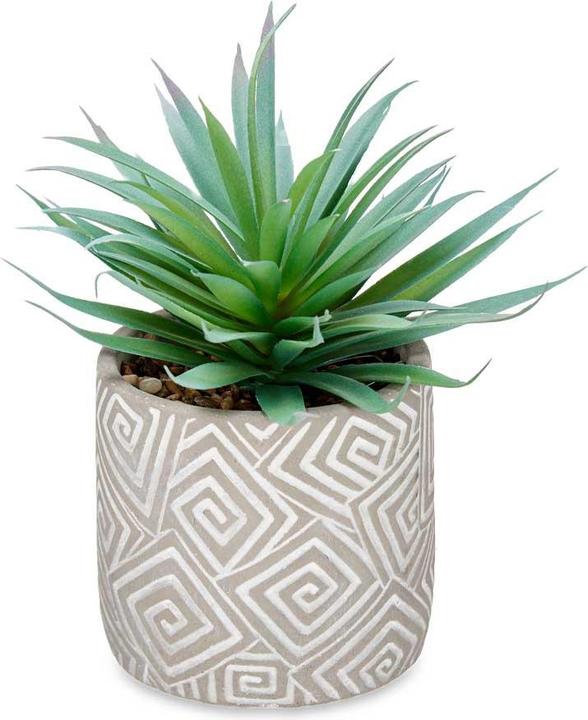 Ibergarden Houseplant with grey pot (21 cm)