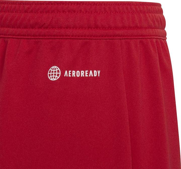 Actual product image adidas Entrada 22 Shorts (164)