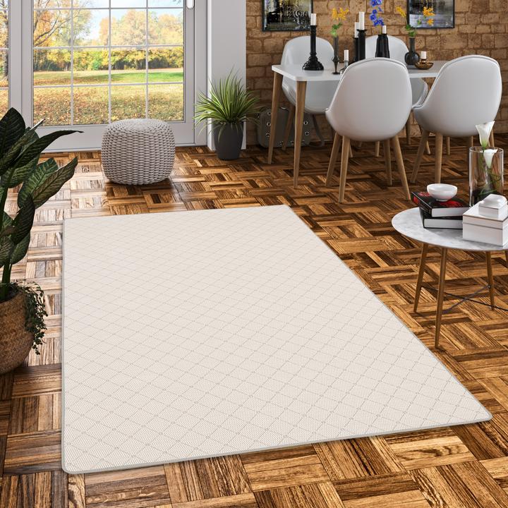 Produktbild Snapstyle In & Outdoor Teppich Flachgewebe Oslo Karo Modern (100 x 200 cm)