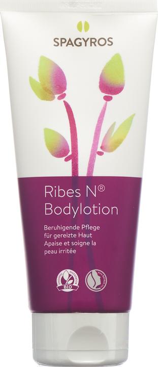 Produktbild Spagyros Ribes N Bodylotion Lot (Körpercreme, 200 ml)