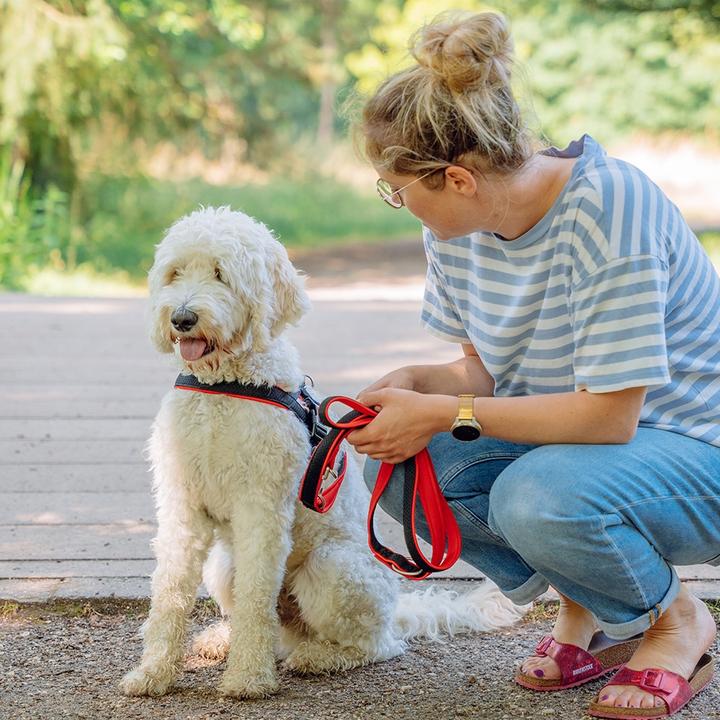 Produktbild Nobby Norwegergeschirr Mesh Preno (S, M, Hund, Allgemein)