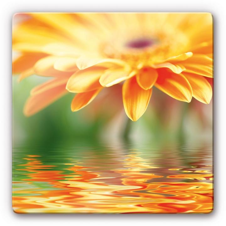 Produktbild Trenddeko Gerbera Spiegelung (50 x 50 cm)