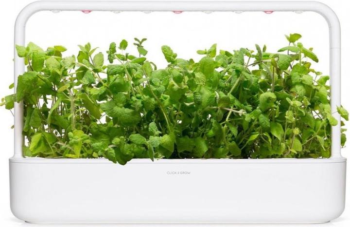 Immagine prodotto Click and Grow Semi Mela Menta, confezione da 3 (Semi di erbe)