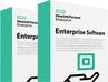 Immagine prodotto HPE E StoreOnce Gen4 FC Card LTU
