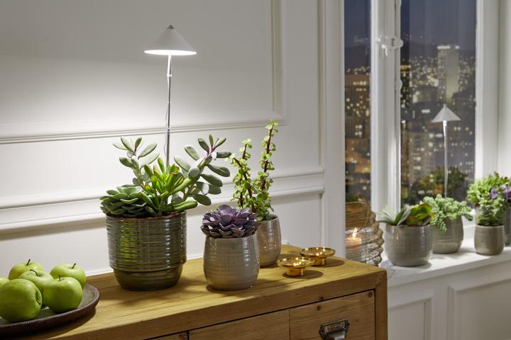 Image du produit Colibri SUNLiTE blanc (LED, 230 V)