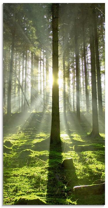 Produktbild Artland Wald im Gegenlicht T5SV (30 x 60 cm)