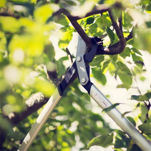 Actual product image Fiskars Branch shears bypass PowerGearX LX