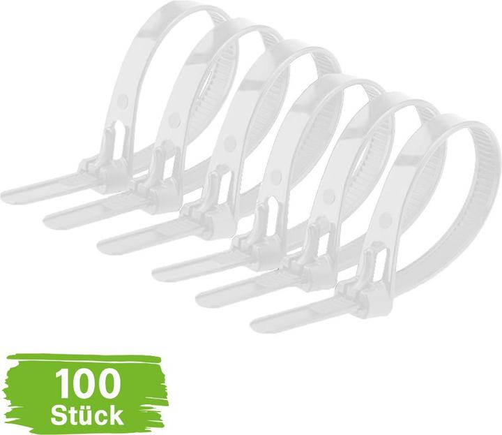 Immagine prodotto Offgridtec Fascette richiudibili 7,6mmx300mm Bianco autobloccanti 100 pz. (300 mm, 100 pz.)