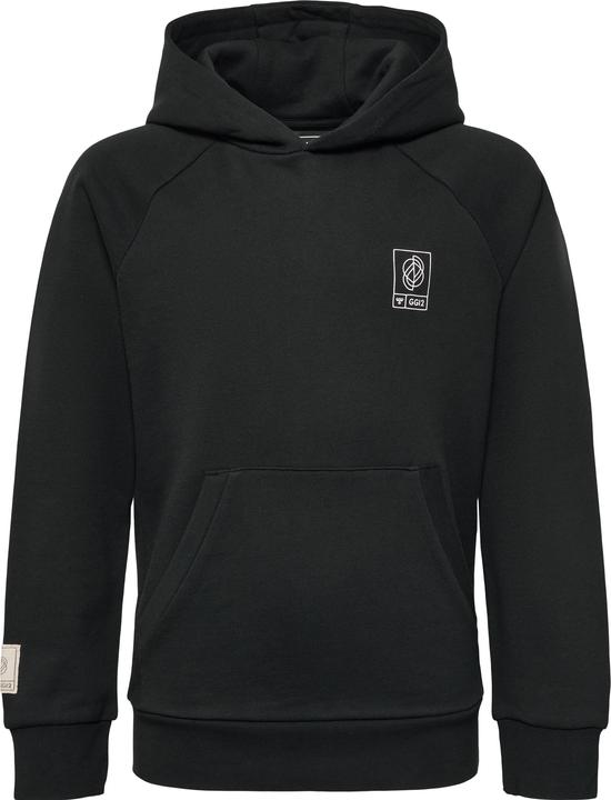 Image du produit hummel Gg12 Sweat Hoodie Kids (116)