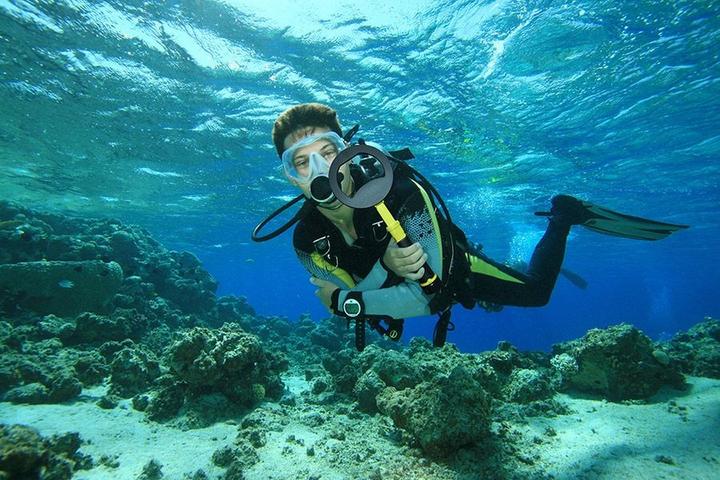 Actual product image Nokta Makro PulseDive con Piastra 20 CM - GIALLO
