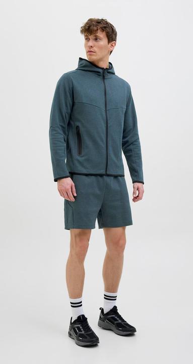 Produktbild Jack & Jones Regular Fit Regular Fit Shorts Regular Fit Shorts (L)