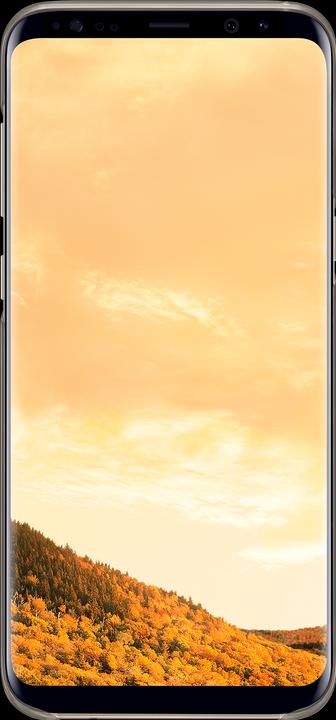 Actual product image Samsung Clear Cover (Samsung Galaxy S8+)