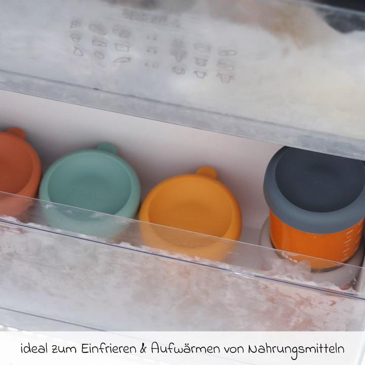 Produktbild Beaba Portionsbehälter