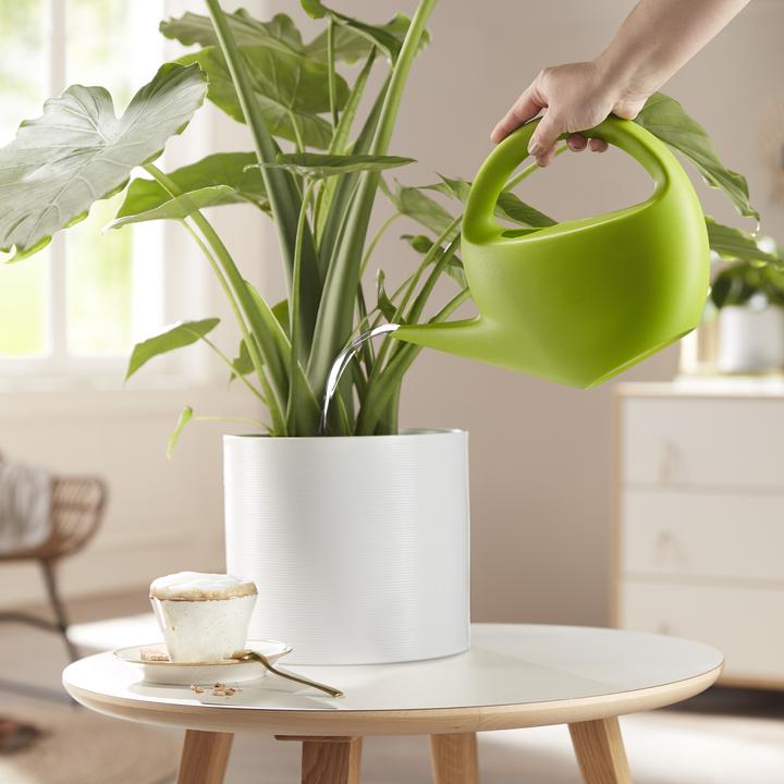 Produktbild Scheurich Blumentopf (40 cm)