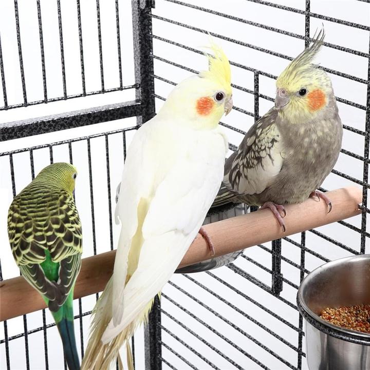 Image du produit Jamb Cage à oiseaux 174cm