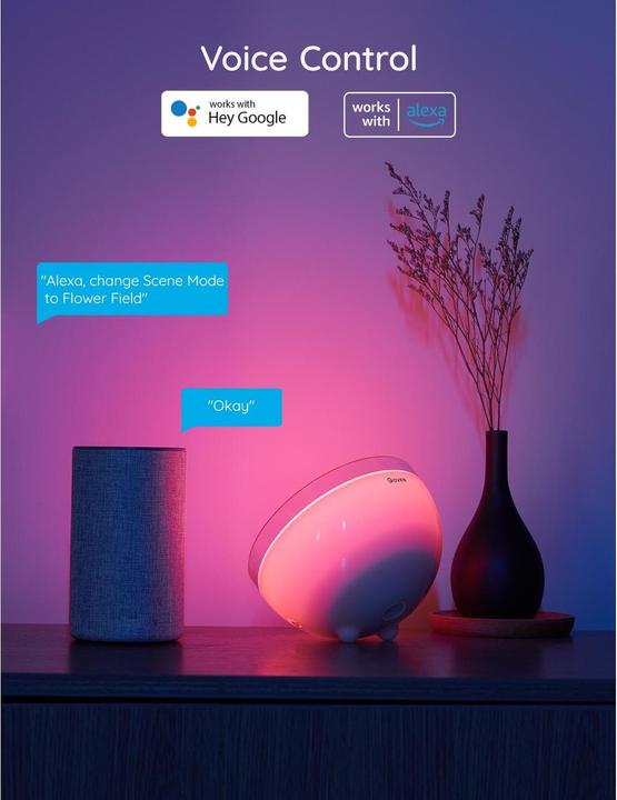 Actual product image Govee Ambient (350 lm)