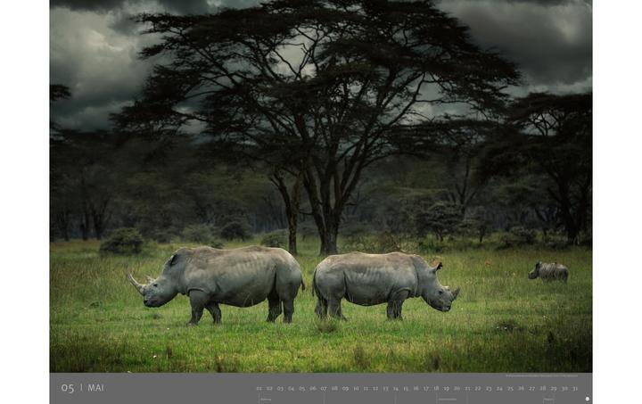 Produktbild Heye Kalender Afrika 2023 (78 x 58 cm, Deutsch)