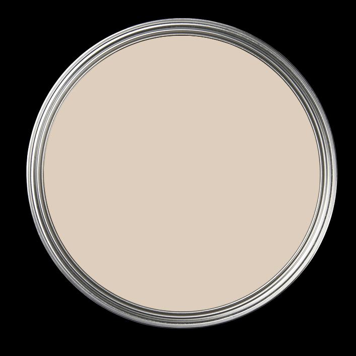 Zanzibar 224