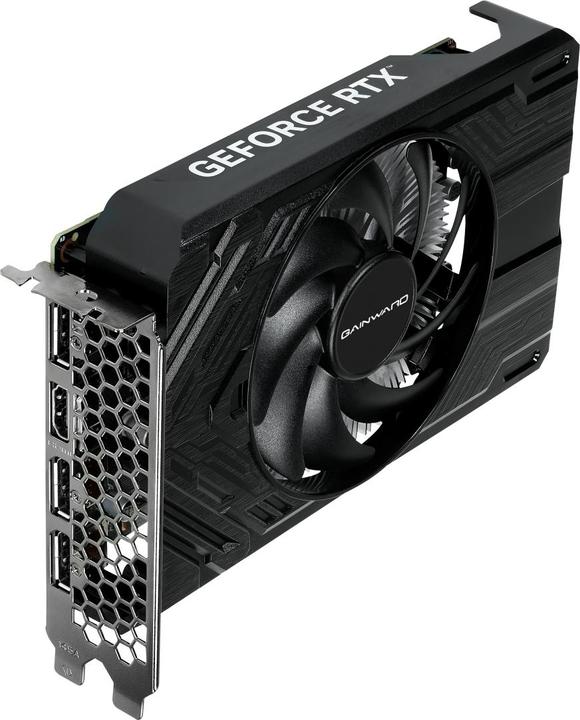 Produktbild Gainward GeForce RTX 4060 Pegasus (8 GB)