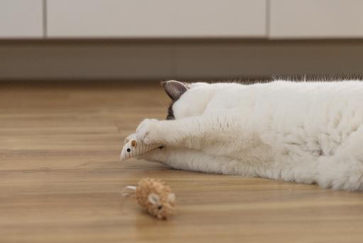 Image du produit Beeztees Katzenspielzeug Eco Maus Seerp (Jouets avec herbe à chat)