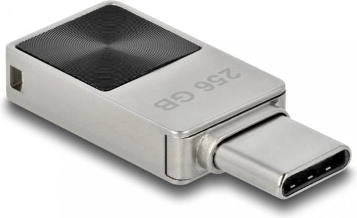 Actual product image Delock Mini (256 GB, USB-C)