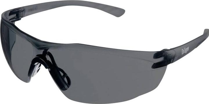 Actual product image L+D X-pect® 8321 safety goggles, shatterproof, high level of wear comfort, pack of