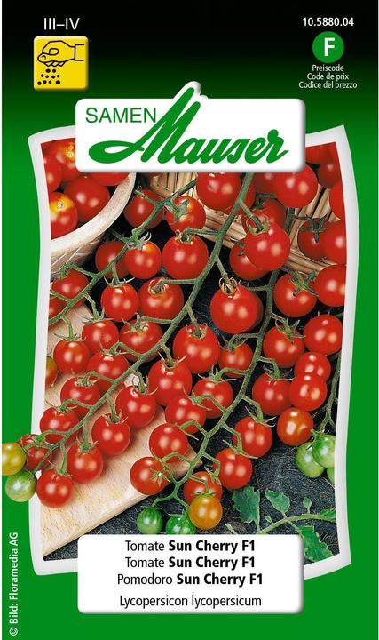 Samen Mauser Pomodoro Sun Cherry F1 (Semi di verdura)