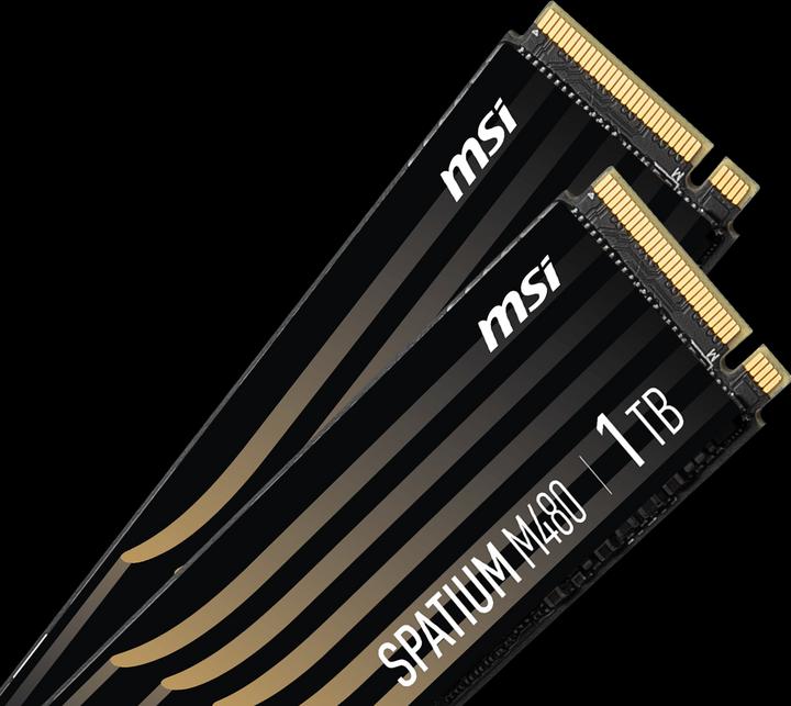 Image du produit MSI Spatium M480 (1000 Go, M.2 2280)