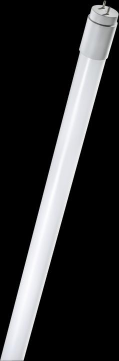 Neutral White