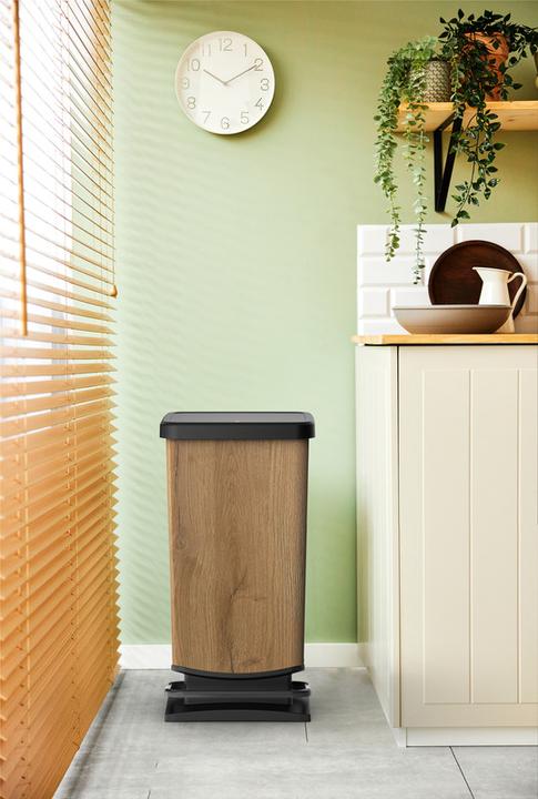 Image du produit Rotho Paso (40 l)