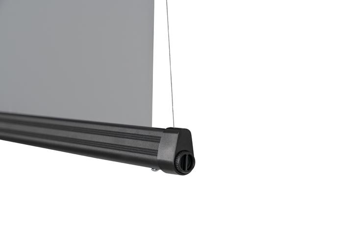 Actual product image Elite Screens DayWalker DW3 ALR Tab Tension (120", 16:9)