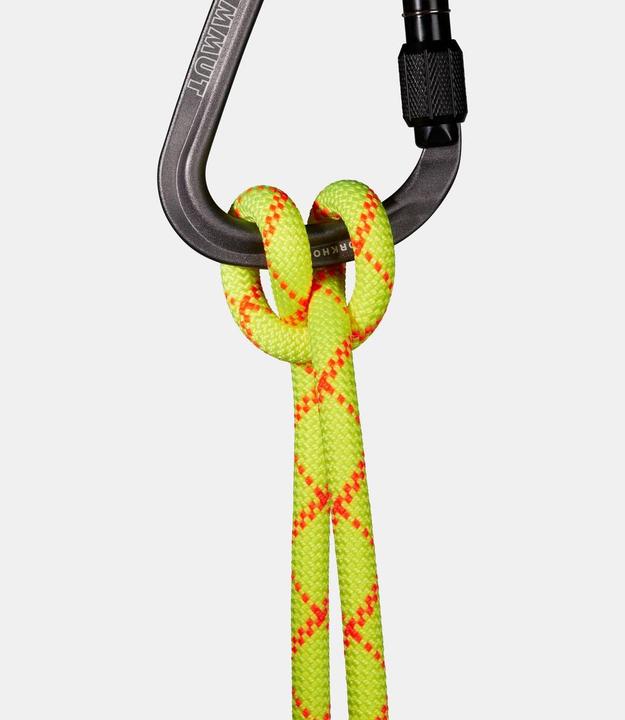 Produktbild Mammut 9.5 Alpine Core Protect Dry Rope (50 m)