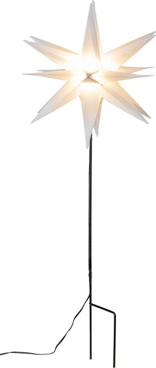 Actual product image Saico Plastic Star with Bottom Spike white CAS6200