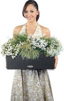 Produktbild Lechuza Balconera Cottage (19 cm)