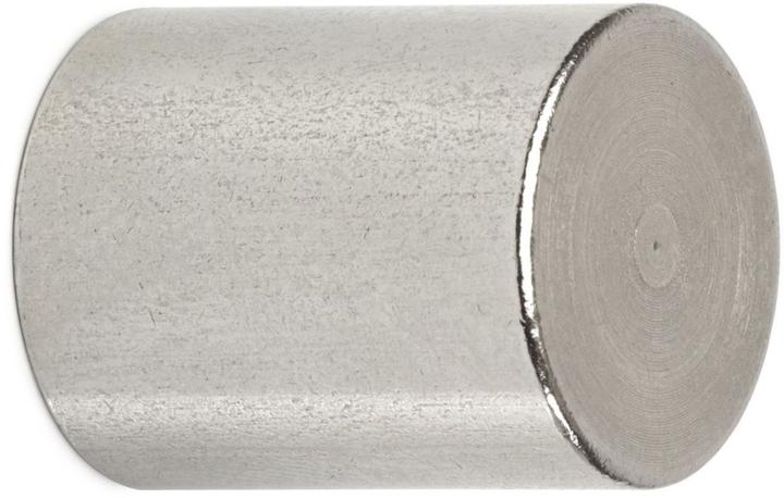 Maul 4 Magnete silber Ø 1,6 x 2,0 cm (4 x)